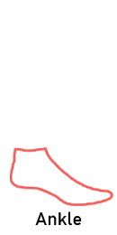 Ankle